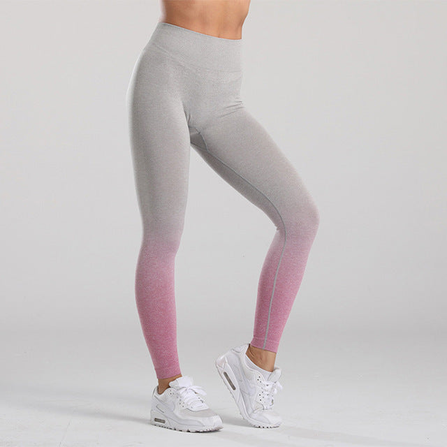 Women Gym Yoga Seamless Pants Sports Clothes Women Gym Yoga Seamless Pants Sports Clothes