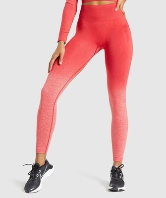 Women Gym Yoga Seamless Pants Sports Clothes Women Gym Yoga Seamless Pants Sports Clothes