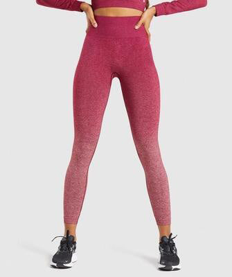 Women Gym Yoga Seamless Pants Sports Clothes Women Gym Yoga Seamless Pants Sports Clothes