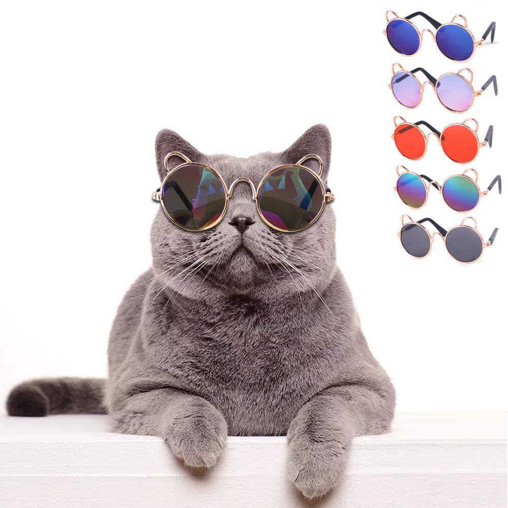 Cat Cute Sunglasses Dog Teddy Sunglasses Cat Cute Sunglasses Dog Teddy Sunglasses