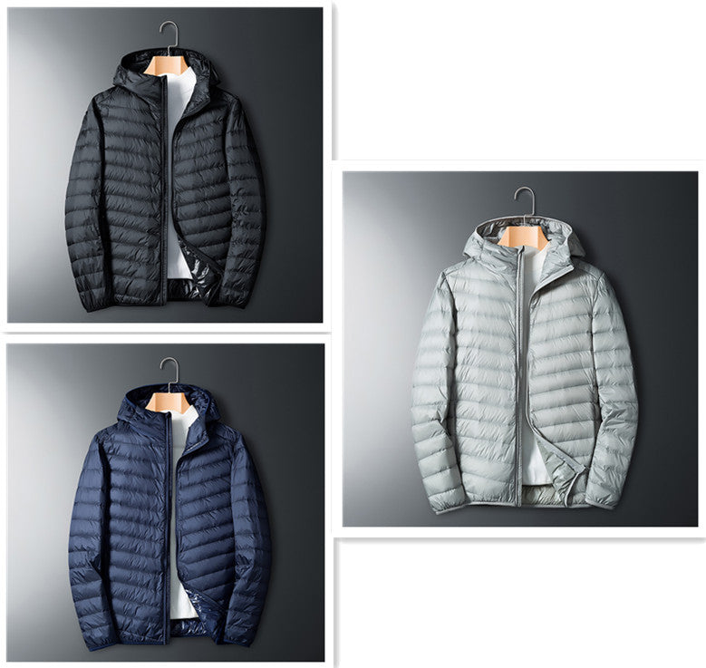 Sheer hooded down jacket