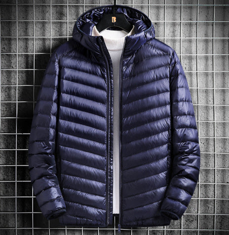 Sheer hooded down jacket